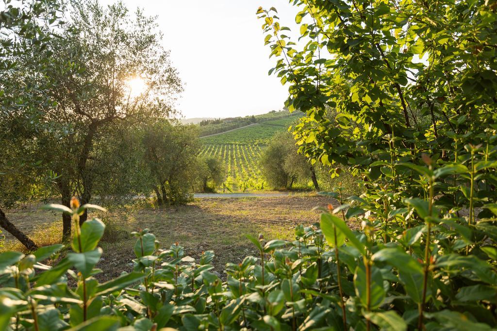Tenuta Di Monaciano Ponte A Bozzone Exteriör bild