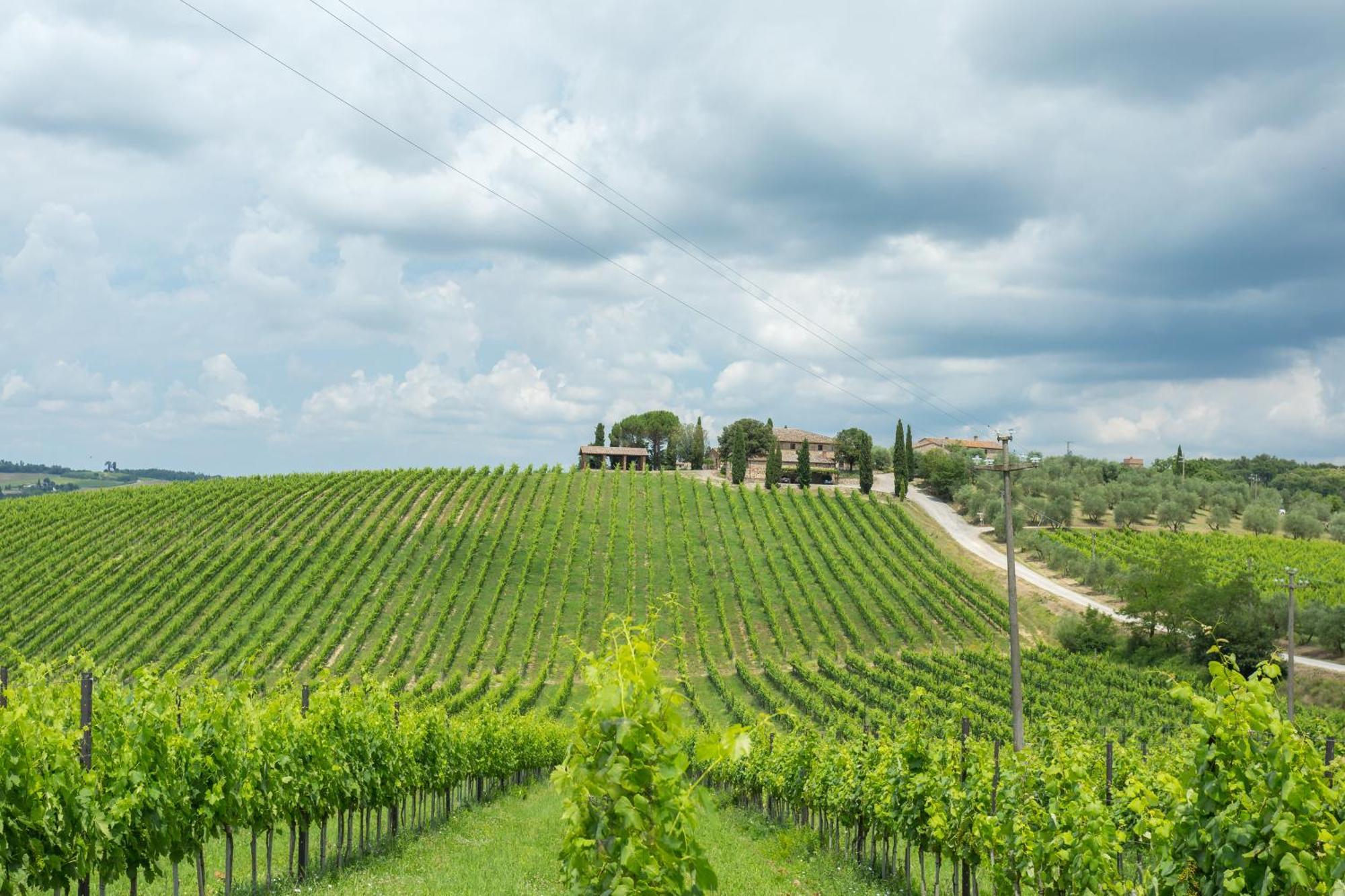 Tenuta Di Monaciano Ponte A Bozzone Rum bild