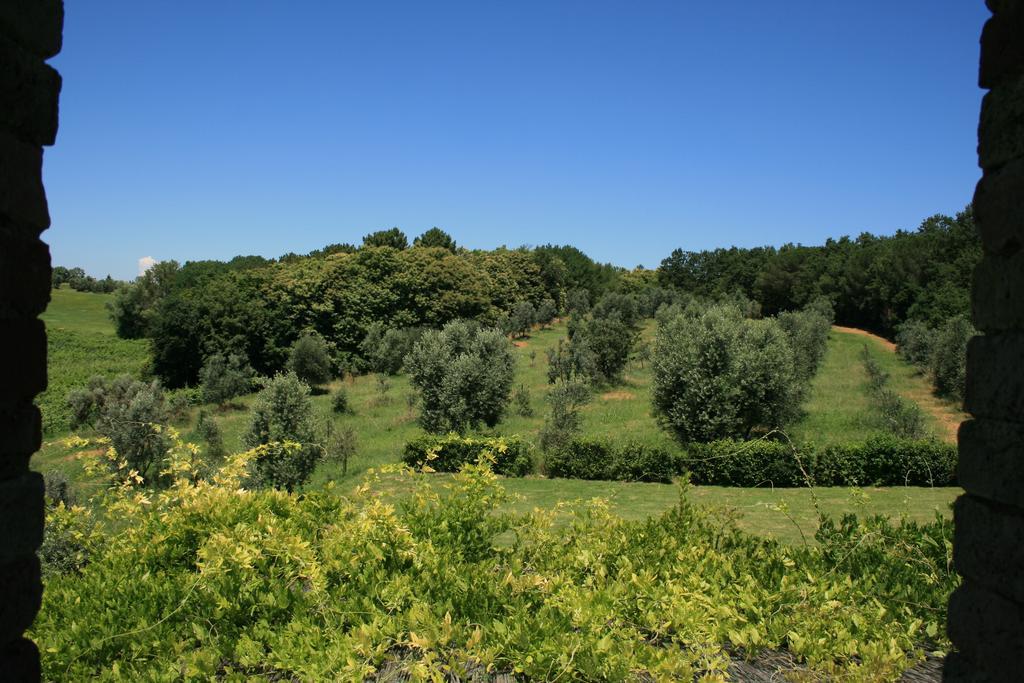 Tenuta Di Monaciano Ponte A Bozzone Rum bild